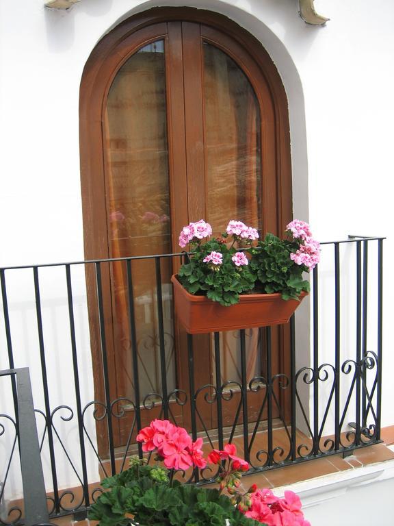Pension Oliva Extérieur photo